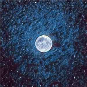 老外大鸡吧操美女
